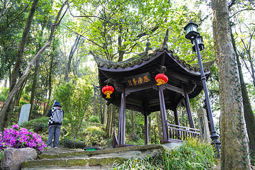 桐君山第 65 张图片