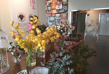 金昌花文化博览馆第 9 张图片
