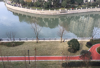 三垟湿地第 14 张图片