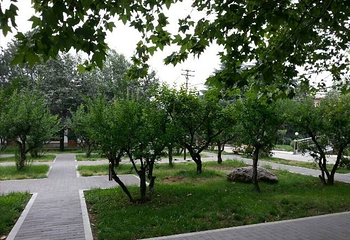 陕西省工人疗养院第 14 张图片