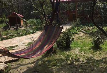 洞庭东山第 18 张图片