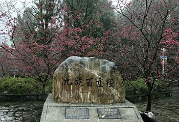 九族文化村第 41 张图片
