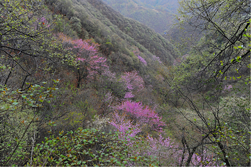 重渡沟风景区第 59 张图片
