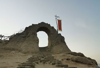 红玛瑙枸杞观光园第 20 张图片
