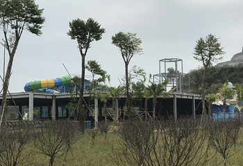 花海欢乐世界第 58 张图片