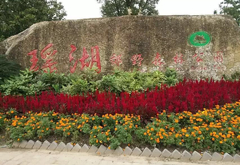 瑶湖第 12 张图片