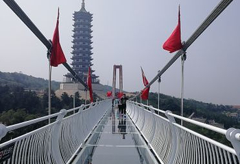 怪坡东北虎园第 19 张图片
