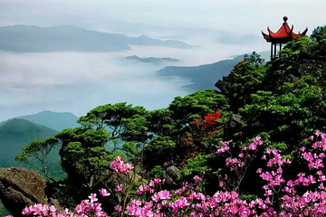 阳明山国家森林公园第 27 张图片