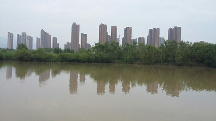 银滩湿地公园第 13 张图片