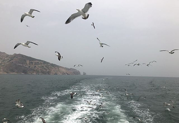 长岛海上游第 55 张图片