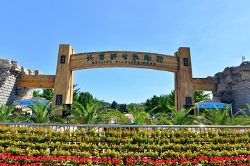 北京野生动物园第 2 张图片