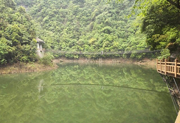野人谷第 33 张图片