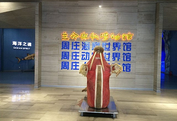 生命奥秘博物馆第 48 张图片