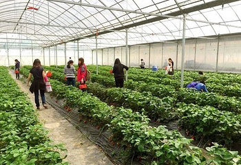 桐乡红杉邨景区第 18 张图片