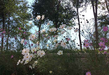 赛汗塔拉旅游娱乐园第 8 张图片