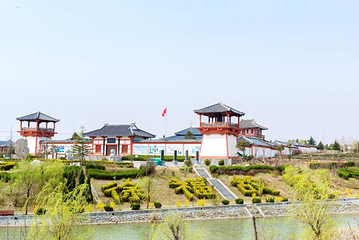 桑岛第 18 张图片