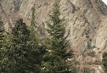 天堂部落藏家风情园第 8 张图片