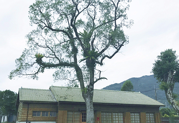 花莲观光糖厂第 20 张图片