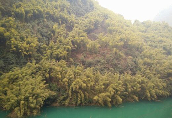 麻阳河第 8 张图片