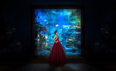 海合安成都极地海洋公园第 115 张图片