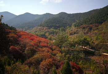 官护山景区第 4 张图片