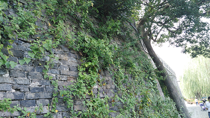 川沙古城墙第 3 张图片