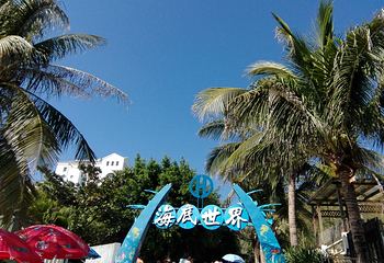 亚龙湾海底世界第 44 张图片