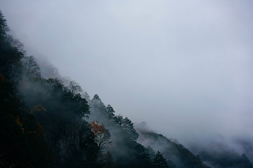 东拉山大峡谷第 17 张图片