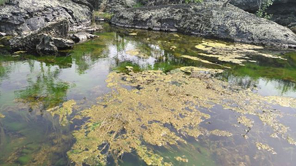 温泊景区第 52 张图片