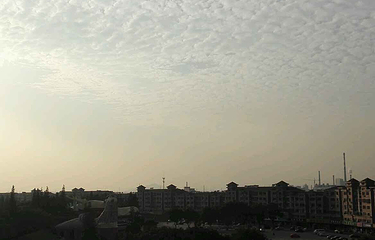 华西金塔第 2 张图片