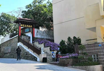 桂山岛第 27 张图片