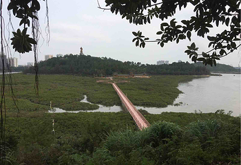 仙岛公园第 6 张图片