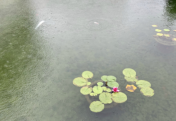 苏州博物馆第 424 张图片