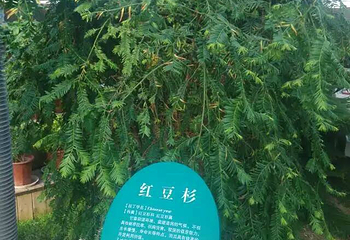 清徐白石沟生态旅游区第 6 张图片
