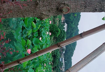 浏阳大围山榴花洞峡谷漂流第 28 张图片