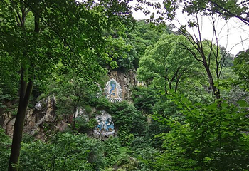 香炉山国家森林公园第 69 张图片