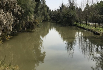 玉环漩门湾观光农业园第 25 张图片