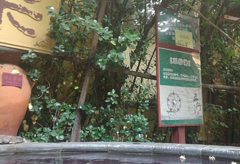 团泊湖温泉第 48 张图片
