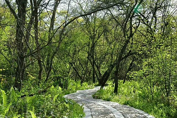 悠然山旅游度假区第 101 张图片