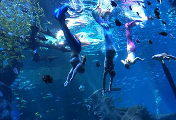 波塞冬沙滩水世界第 79 张图片