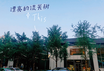 春熙路第 25 张图片