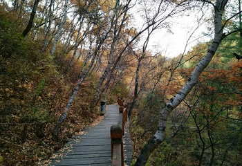 苏木山旅游区第 27 张图片