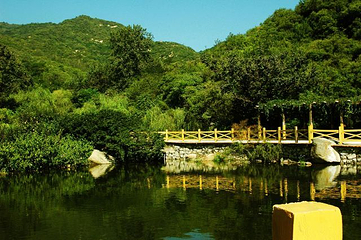 藤龙山风景区第 19 张图片