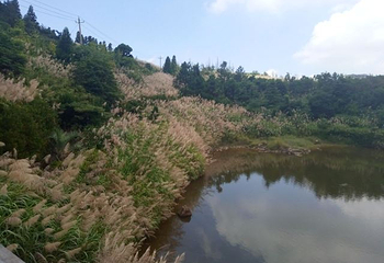 鼓岭国家级旅游度假区第 21 张图片
