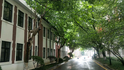 上海交通大学(徐汇校区)第 12 张图片