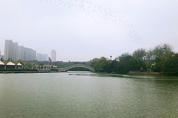 徽园第 52 张图片