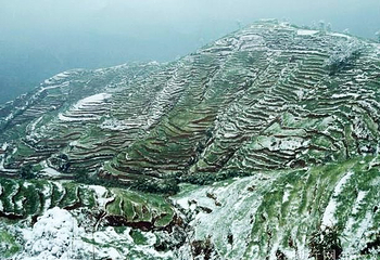大黑山省级森林公园第 5 张图片