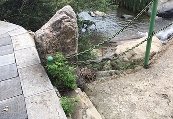 藤龙山风景区第 31 张图片