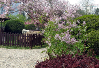 北京师范大学第 21 张图片