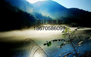 东江大坝第 4 张图片